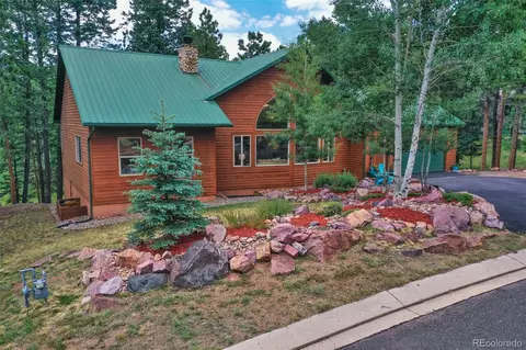 1020 Skyline Ct, Woodland Park, CO 80863
