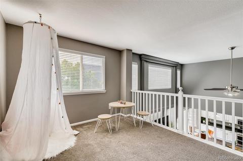 21 Apache Plume Ct, Brighton, CO 80601 photo 29