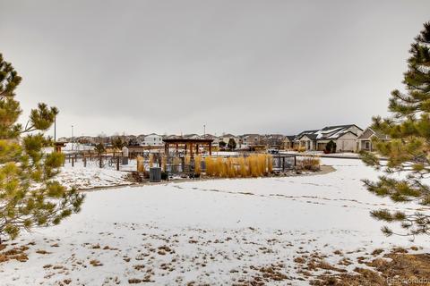 19534 E 54th Pl, Denver, CO 80249 photo 26