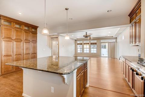 19534 E 54th Pl, Denver, CO 80249 photo 11