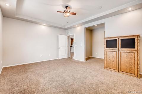 19534 E 54th Pl, Denver, CO 80249 photo 13