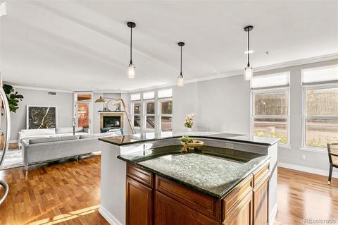 920 E 17th Ave #101, Denver, CO 80218 photo 11