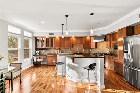 920 E 17th Ave #101, Denver, CO 80218 photo 8