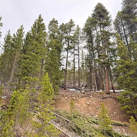 lot406 Glory Hole Rd, Idaho Springs, CO 80452