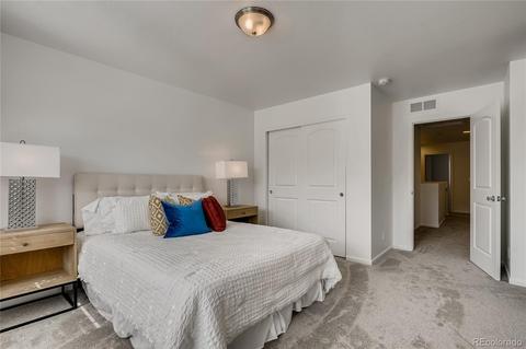 10811 E 28th Pl, Denver, CO 80238 photo 15