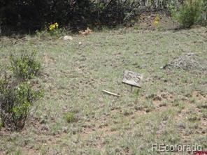134 Cedar Ridge Rd, Mosca, CO 81146 photo 2