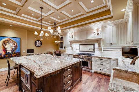 8588 Colonial Dr, Lone Tree, CO 80124 photo 9