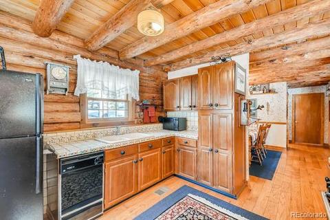 85 Tapadero Rd, Bailey, CO 80421 photo 8