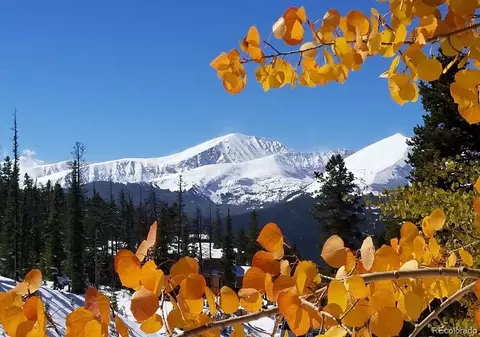 305 S Park Ave #402, Breckenridge, CO 80424