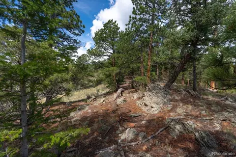 Other - 150 Summit Dr, Bailey, CO 80421 photo 20 of 27
