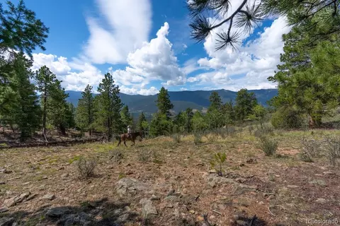 Other - 150 Summit Dr, Bailey, CO 80421 photo 24 of 27
