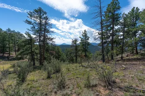 Other - 150 Summit Dr, Bailey, CO 80421 photo 22 of 27