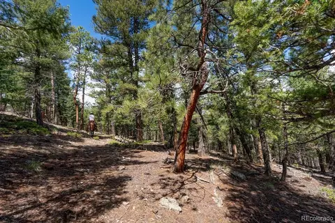 Other - 150 Summit Dr, Bailey, CO 80421 photo 23 of 27