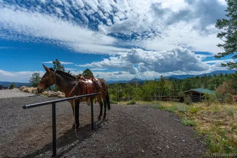 Exterior - 150 Summit Dr, Bailey, CO 80421 photo 5 of 5