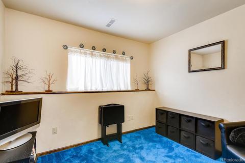4357 E 118th Pl, Thornton, CO 80233 photo 19