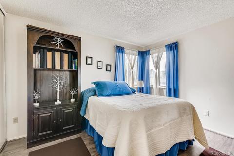 4357 E 118th Pl, Thornton, CO 80233 photo 10