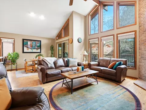 Living - 16082 Deer Ridge Dr #C, Morrison, CO 80465 photo 4 of 5