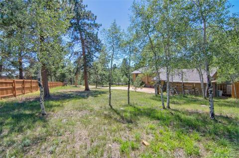 11894 S Stallion Dr, Pine, CO 80470 photo 32