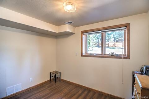 11894 S Stallion Dr, Pine, CO 80470 photo 27