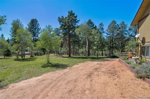 11894 S Stallion Dr, Pine, CO 80470 photo 30
