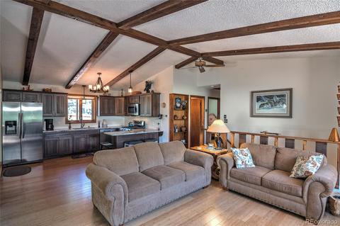 11894 S Stallion Dr, Pine, CO 80470 photo 5