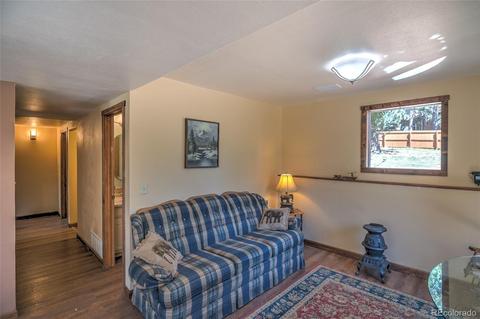 11894 S Stallion Dr, Pine, CO 80470 photo 20