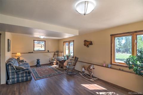 11894 S Stallion Dr, Pine, CO 80470 photo 19