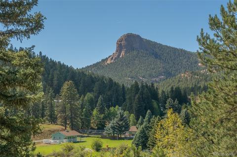 11894 S Stallion Dr, Pine, CO 80470 photo 40