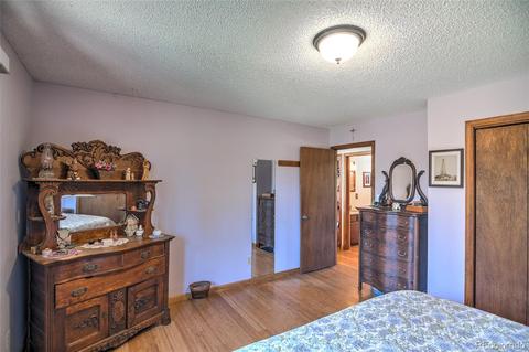 11894 S Stallion Dr, Pine, CO 80470 photo 13