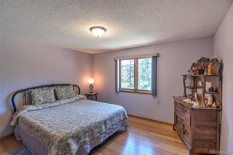 11894 S Stallion Dr, Pine, CO 80470 photo 12