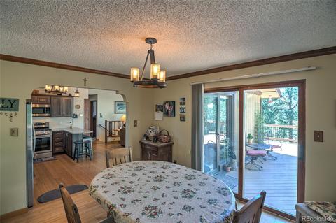 11894 S Stallion Dr, Pine, CO 80470 photo 11