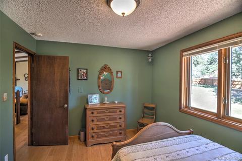 11894 S Stallion Dr, Pine, CO 80470 photo 16