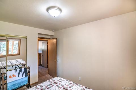 11894 S Stallion Dr, Pine, CO 80470 photo 24