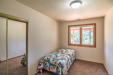 11894 S Stallion Dr, Pine, CO 80470 photo 22