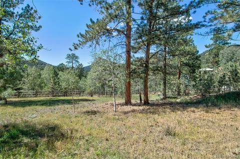 11894 S Stallion Dr, Pine, CO 80470 photo 37