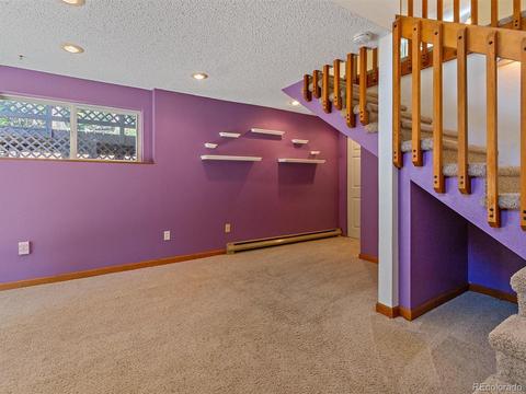 9531 S Warhawk Rd, Conifer, CO 80433 photo 19