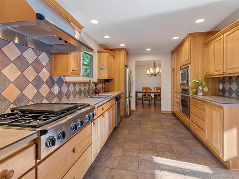 9531 S Warhawk Rd, Conifer, CO 80433 photo 10