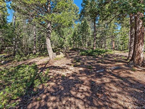 9531 S Warhawk Rd, Conifer, CO 80433 photo 28