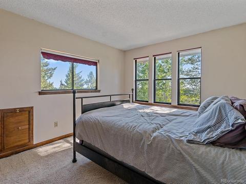 9531 S Warhawk Rd, Conifer, CO 80433 photo 23