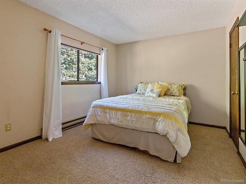 9531 S Warhawk Rd, Conifer, CO 80433 photo 24