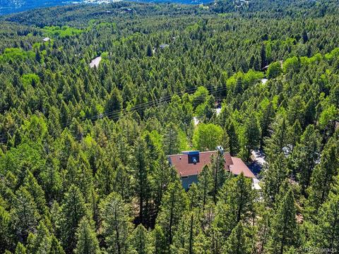 9531 S Warhawk Rd, Conifer, CO 80433 photo 33