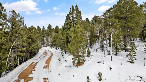 694 Horseshoe Dr, Divide, CO 80814 photo 21