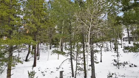 694 Horseshoe Dr, Divide, CO 80814 photo 16