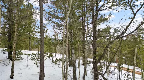 694 Horseshoe Dr, Divide, CO 80814 photo 18