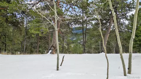 694 Horseshoe Dr, Divide, CO 80814 photo 15