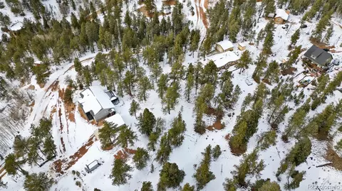 694 Horseshoe Dr, Divide, CO 80814 photo 12