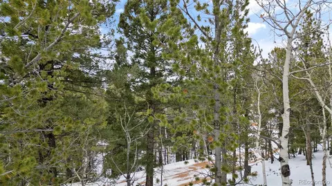 694 Horseshoe Dr, Divide, CO 80814 photo 17
