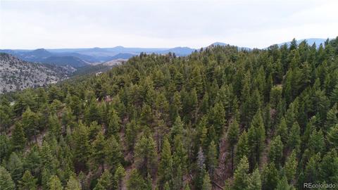 14365 Reserve Rd, Pine, CO 80470 photo 9