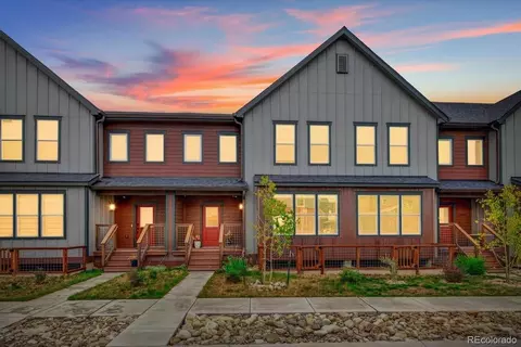 1317 Silver Vault St, Leadville, CO 80461