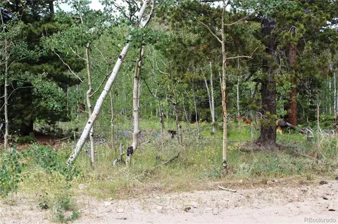 00 Pisgah Lake Rd, Idaho Springs, CO 80425